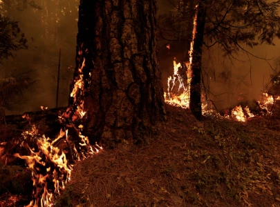 california wildfire doubles in size and becomes largest in us