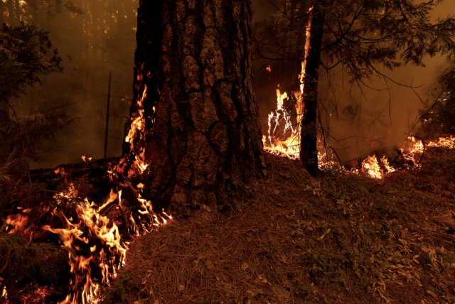 california wildfire doubles in size and becomes largest in us california wildfire doubles in size and becomes largest in us