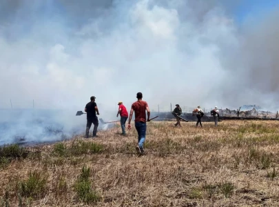 hezbollah promises to cease fire if gaza truce is secured hezbollah promises to cease fire if gaza truce is secured