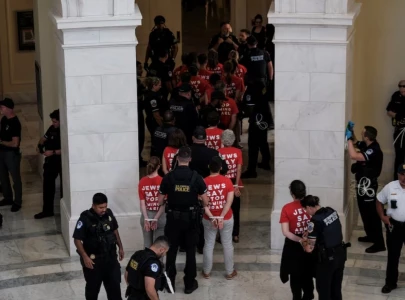 jewish activists detained in us congress during protest against gaza war jewish activists detained in us congress during protest against gaza war
