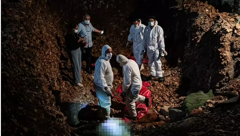 backlash intensifies over turkey s stray dog massacre leaving millions of dogs dead backlash intensifies over turkey s stray dog massacre leaving millions of dogs dead