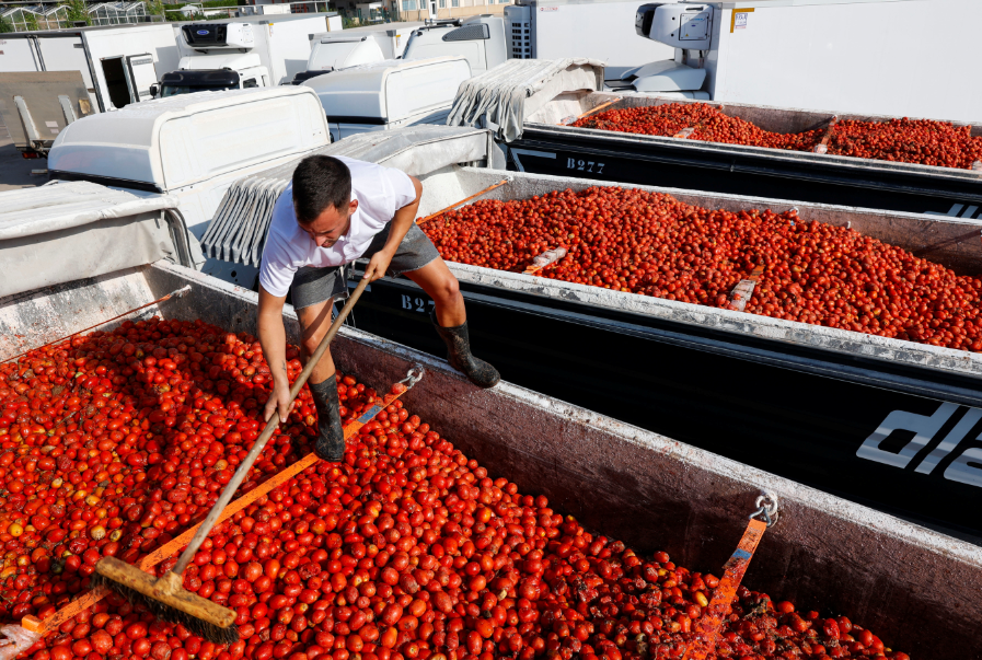 La Tomatina festival 2024 in Spain 22,000 attendees drenched in 150