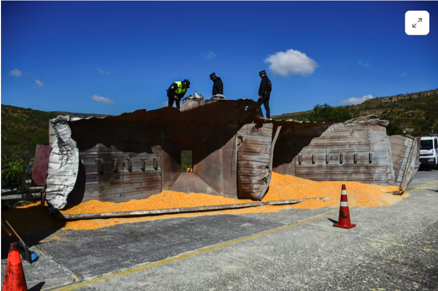 Authorities work on the site of a passenger bus accident where several people died and others were injured while travelling on a highway from Nayarit to Chihuahua, in Piedra Gorda, Mexico, October 26, 2024. REUTERS/Edgar Chavez