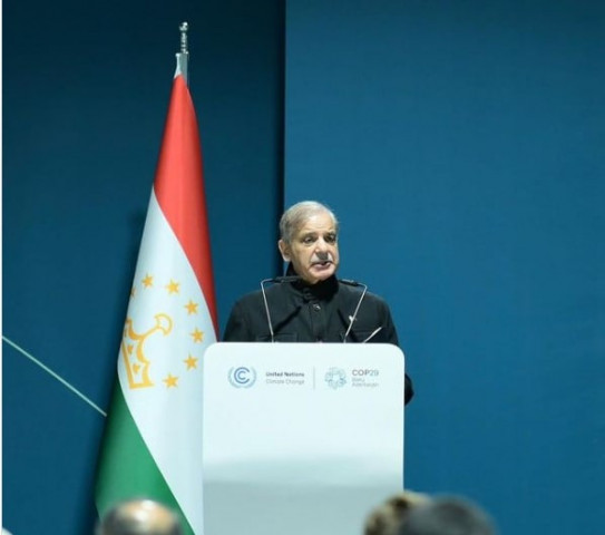 previous financial pledges on climate change remain unmet pm tells cop29 summit previous financial pledges on climate change remain unmet pm tells cop29 summit