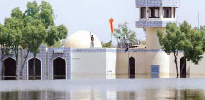 sehwan still under threat