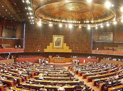 ruckus in senate over ministers absence
