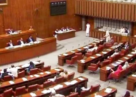 sc ordinance tabled in senate