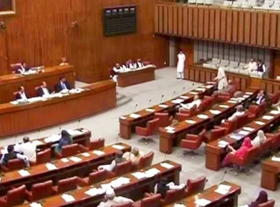 senate unites to slam mnas arrest senate unites to slam mnas arrest