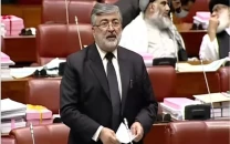 precarious security alarms senators