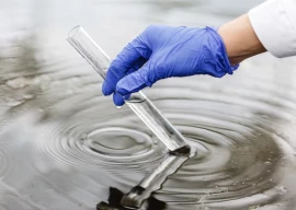 city unprepared for post rain outbreaks city unprepared for post rain outbreaks