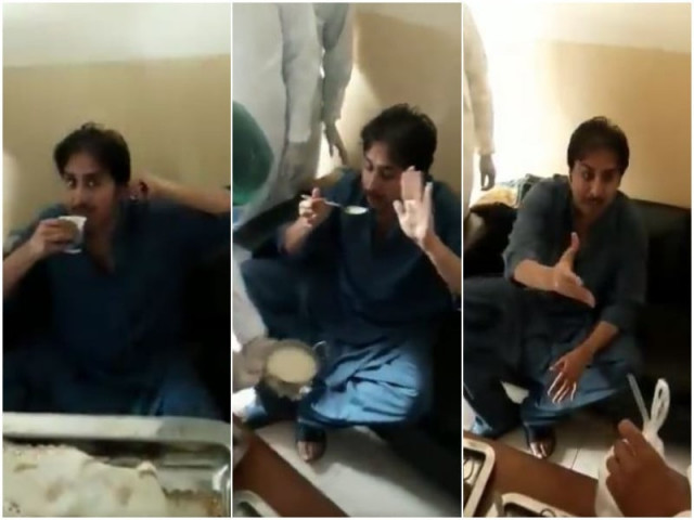 force feeding videos of gill eating under protest go viral force feeding videos of gill eating under protest go viral