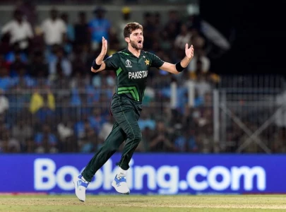 shaheen shah afridi nominated for icc s player of the month award shaheen shah afridi nominated for icc s player of the month award