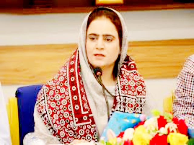 sindh minister for women development shahina sher ali