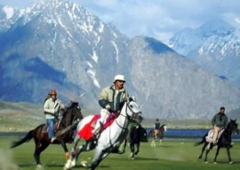 polo festival from july 8