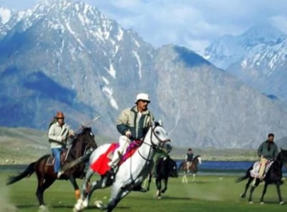 polo festival from july 8