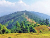 shangla bears brunt of climate change