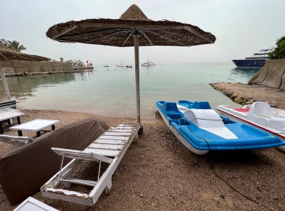 russian citizen killed in shark attack in egypt