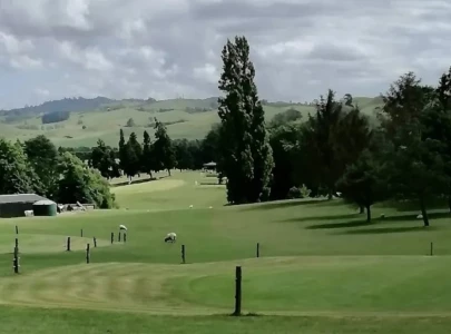 nz golf club ends 50 year tradition of sheep groundskeepers nz golf club ends 50 year tradition of sheep groundskeepers