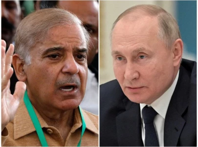 pm shehbaz wants to import wheat from russia