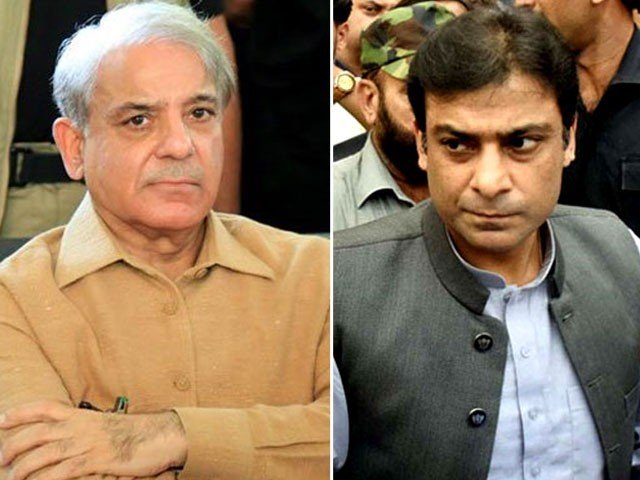 pml n president shehbaz sharif and his son hamza shehbaz photo file