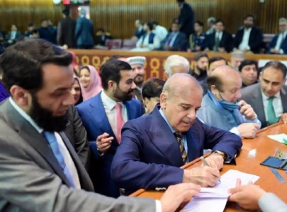 no surprises as coalition sweeps senate polls no surprises as coalition sweeps senate polls