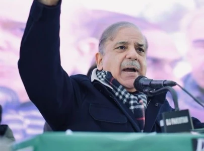 shehbaz decries forces of anarchy