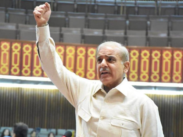 state organs should act within constitutional domain says pm shehbaz state organs should act within constitutional domain says pm shehbaz