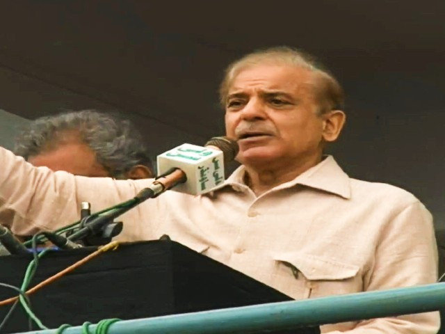 pakistan muslim league nawaz pml n president shehbaz sharif photo screengrab