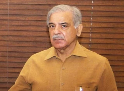 cabinet body wants shehbaz s name on ecl