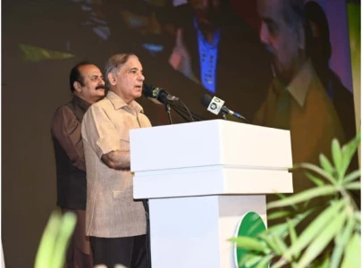 pm to approach people if imf deal delayed pm to approach people if imf deal delayed