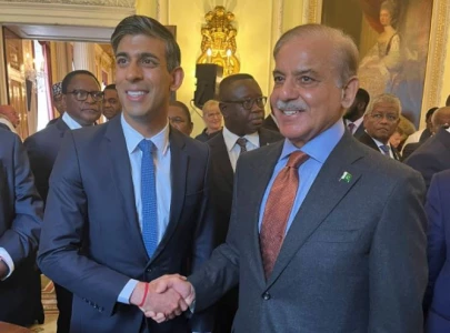 pm hails uk support during floods