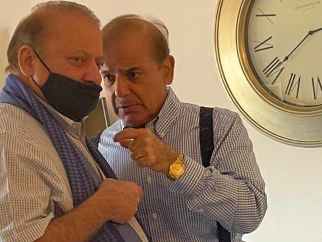 in the next few days shehbaz will meet nawaz in london and hold final consultations with him about his possible return plan photo twitter murtazaviews