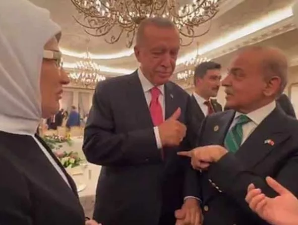 mango diplomacy shehbaz erdogan exchange pleasantries mango diplomacy shehbaz erdogan exchange pleasantries