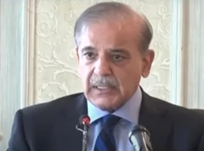 pm directs strict action against wheat sugar and urea smugglers pm directs strict action against wheat sugar and urea smugglers