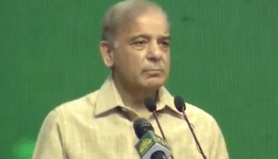 prime minister shehbaz sharif addressing the families of the martyrs at a ceremony in islamabad on may 9 2024 screengrab