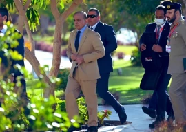 shehbaz is the prime culprit of pakistan s destruction claims pti