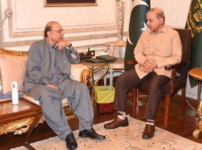 shehbaz zardari oppose polls delay as pdm bigwigs discuss interim setup