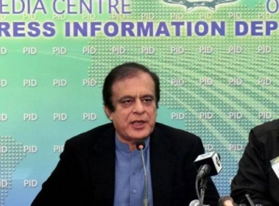 netp to emerge as important player shibli