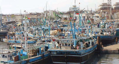 crackdown against illegal fishing nets