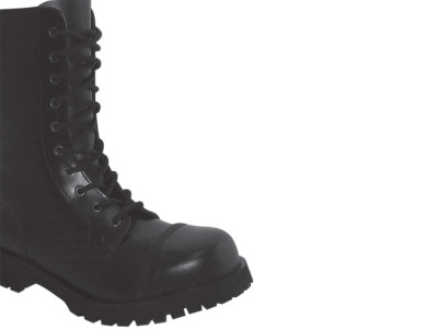 paramilitary force or civilian force should the rangers help us