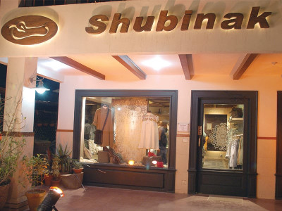 shubinak enter the spider s web