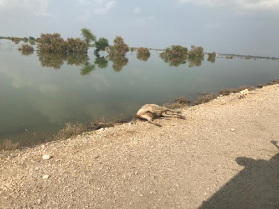 operation clean up in kutcha areas on cards