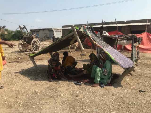 tragedy is all around in kambar shahdadkot one of the most affected districts of sindh photo express tragedy is all around in kambar shahdadkot one of the most affected districts of sindh photo express