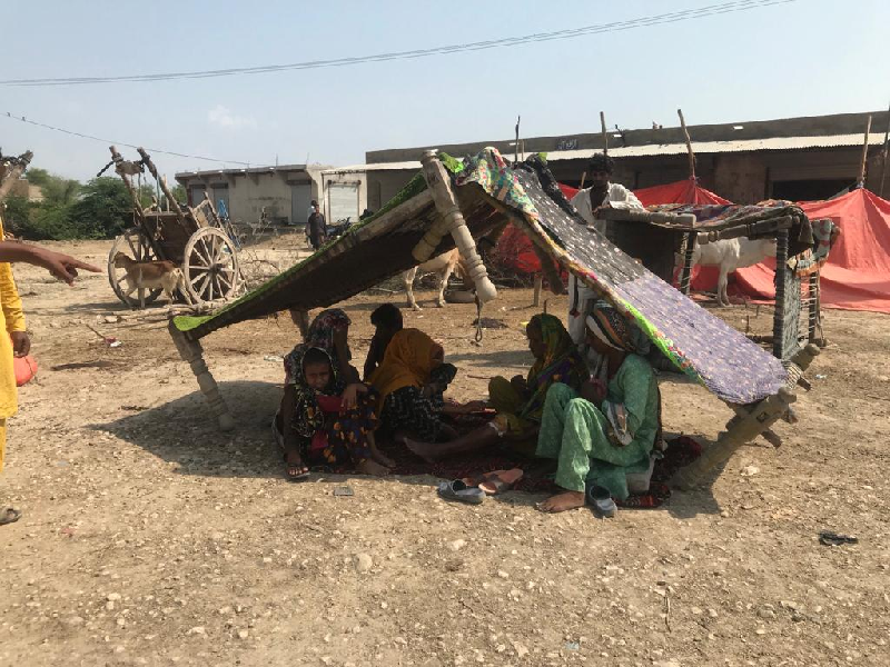 tragedy is all around in kambar shahdadkot one of the most affected districts of sindh photo express