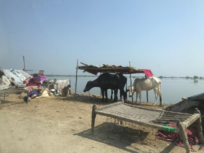 rescue operation underway around manchhar lake