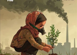 marriyum aurangzeb announces anti smog campaign phase 2