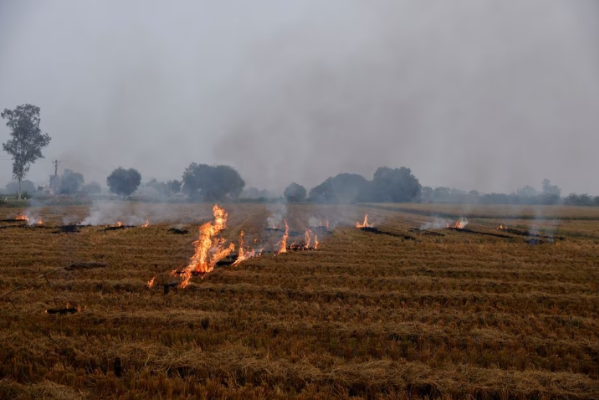 smoke rises from the burning stubble in a crop field in a village in karnal district in the northern state of haryana india photo rueters