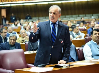 pm shehbaz hails passage of 26th amendment as national consensus victory pm shehbaz hails passage of 26th amendment as national consensus victory
