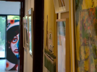 denmark highlights climate crisis in pakistan at haryali art exhibition