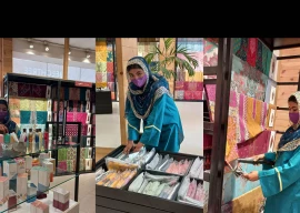 from dreams to disadvantage why minority students demand more seats